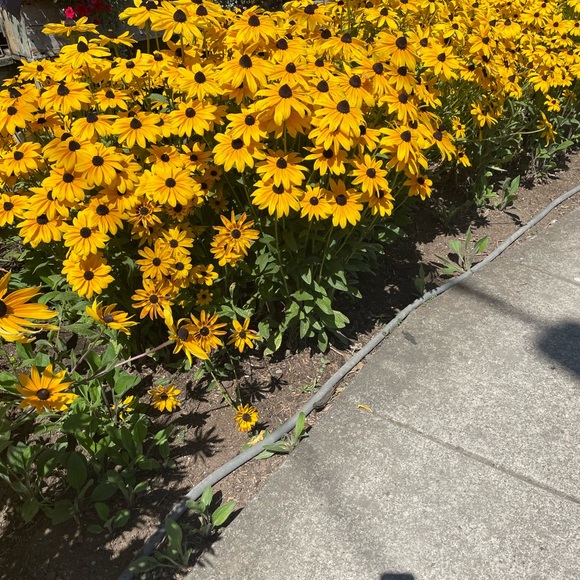 Meet your Posher, Kerri - Picture 1 of 1